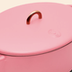 A tempest in a Dutch oven?